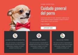 Cuidado General Del Perro - HTML Generator Online