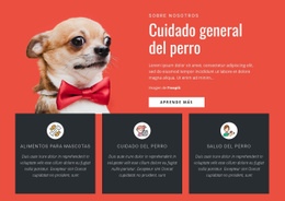 Cuidado General Del Perro