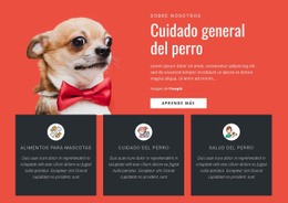 Cuidado General Del Perro - Plantillas De Sitios Web