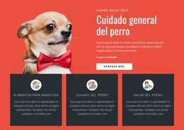 Cuidado General Del Perro: Plantilla De Página HTML