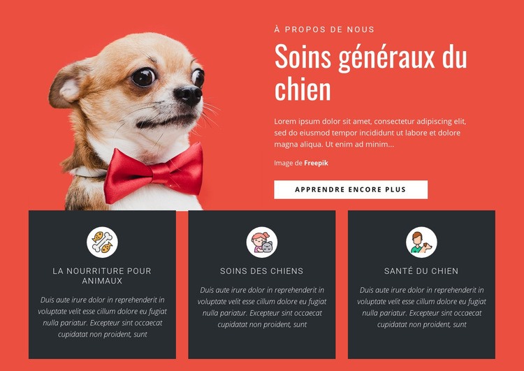 Soins généraux du chien Créateur de site Web HTML