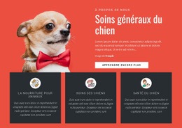 Soins Généraux Du Chien - Modèles De Sites Web