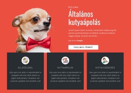 Általános Kutyaápolás HTML5-Sablon