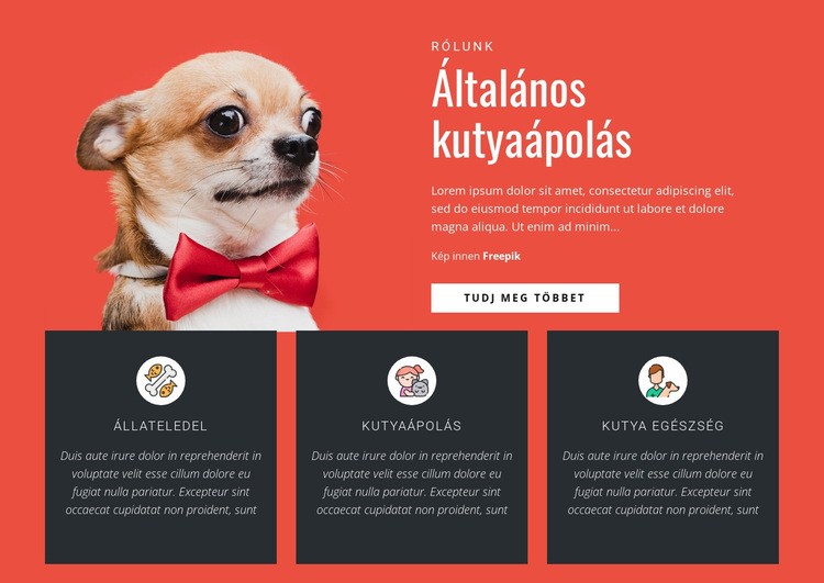 Általános kutyaápolás Weboldal tervezés