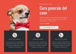Cura Generale Del Cane - Modello Di Una Pagina