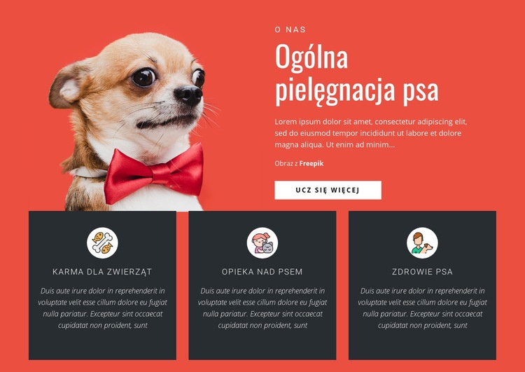 Ogólna pielęgnacja psa Kreator witryn internetowych HTML