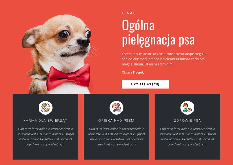 Ogólna pielęgnacja psa Makieta strony internetowej