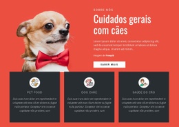 Cuidados Gerais Com Cães - Modelo De Uma Página