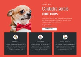 Cuidados Gerais Com Cães - Página De Destino Para Celular