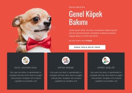 Genel Köpek Bakımı HTML5 Şablonu