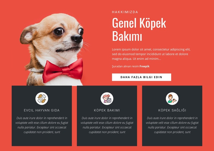 Genel Köpek Bakımı Web Sitesi Mockup'ı