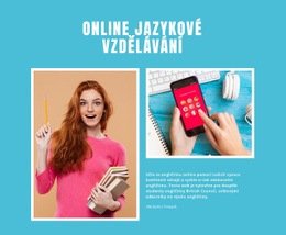 Doporučené Postupy Pro Online Výuka Angličtiny