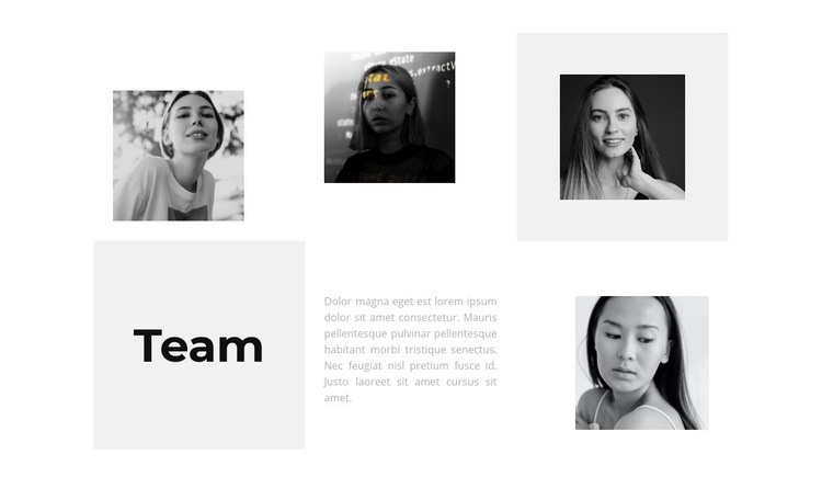 Ons veelbelovend team Website mockup