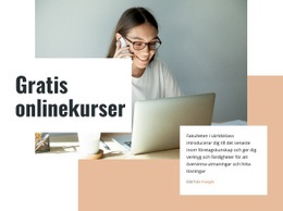 Inlärningsnivåer - Exklusivt WordPress-Tema