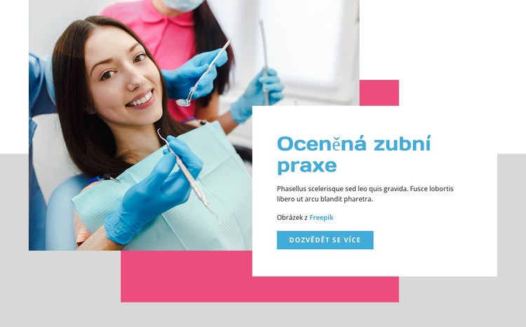 Zubní praxe Šablona CSS