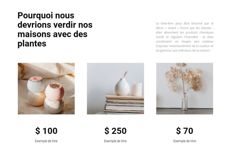 Produits menagers Conception de site Web