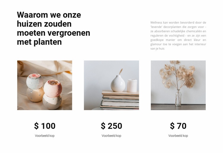 Huishoudproducten Website ontwerp