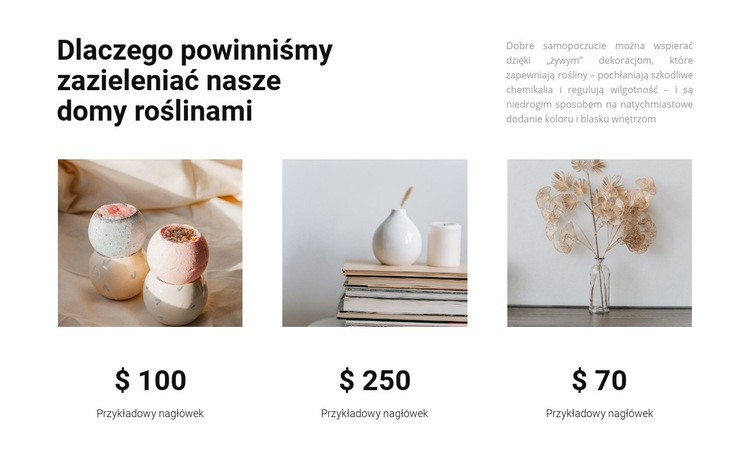 Produkty gospodarstwa domowego Szablony do tworzenia witryn internetowych