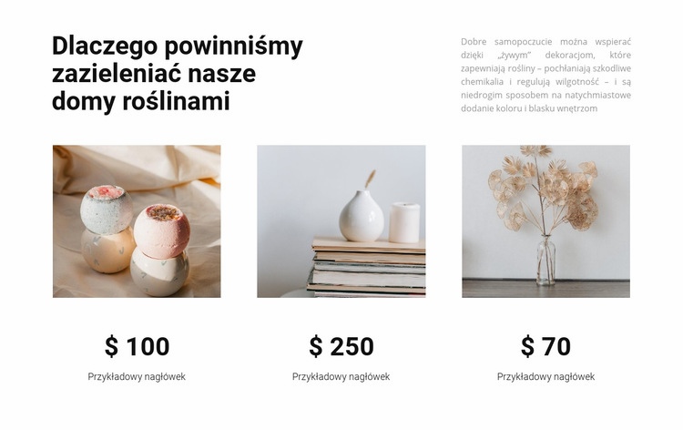 Produkty gospodarstwa domowego Projekt strony internetowej