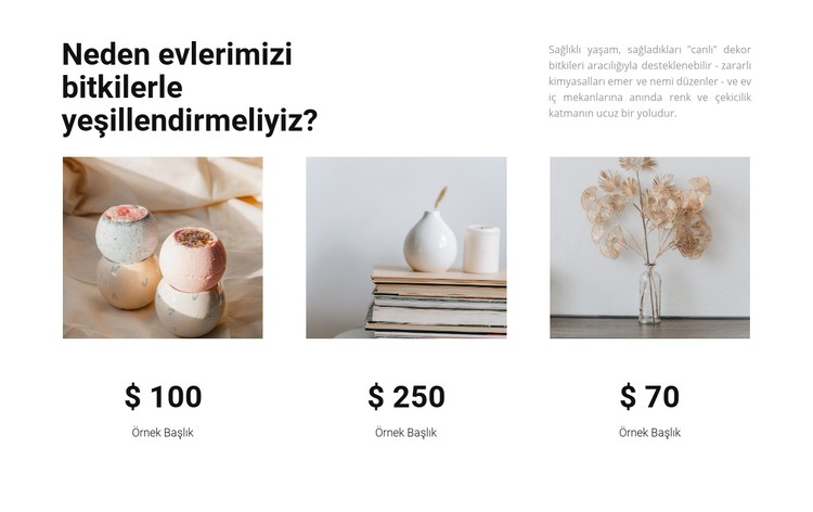 Ev ürünleri CSS Şablonu