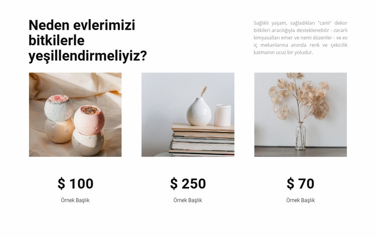 Ev ürünleri HTML5 Şablonu