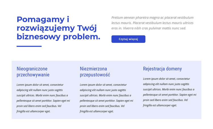 Europejski hosting premium Szablon witryny sieci Web