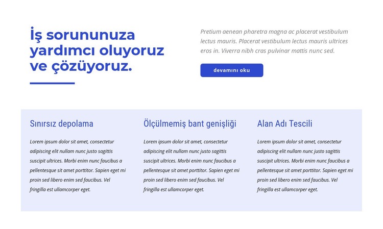 Premium avrupa barındırma Web Sitesi Mockup'ı