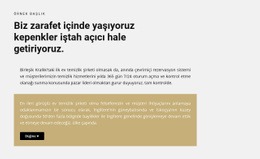 Bir Düğme Ile Başlık Ve Iki Metin - Kolay Web Sitesi Tasarımı