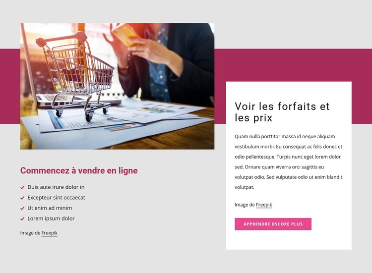 Commencez à vendre en ligne Conception de site Web