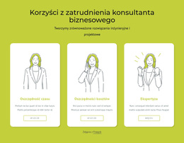 Korzyści Z Zatrudnienia Konsultanta Biznesowego – Wielozadaniowy Motyw WooCommerce