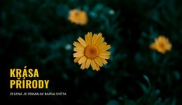 Spojení S Přírodou, Když Cestujete – Web Se Stažením Šablony HTML