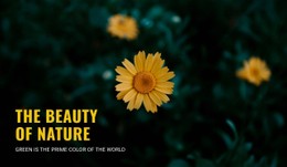 Connecting With Nature As You Trave Single Page Template