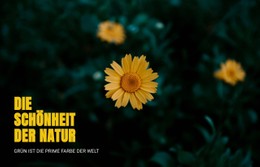 Verbinden Sie Sich Mit Der Natur, Während Sie Reisen Einzelseitenvorlage