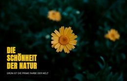 Verbinden Sie Sich Mit Der Natur, Während Sie Reisen - Ultimatives Website-Design