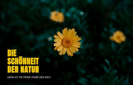 Produktdesigner Für Verbinden Sie Sich Mit Der Natur, Während Sie Reisen