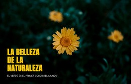 Impresionante Página De Destino Para Conectando Con La Naturaleza Mientras Viajas