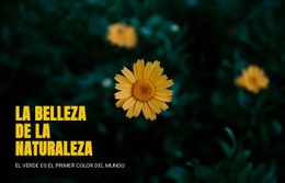 Conectando Con La Naturaleza Mientras Viajas #Css-Templates-Es-Seo-One-Item-Suffix