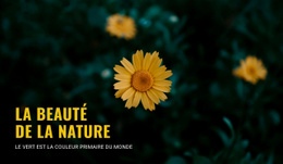 Se Connecter Avec La Nature Pendant Que Vous Voyagez - Conception De Site Web Ultime
