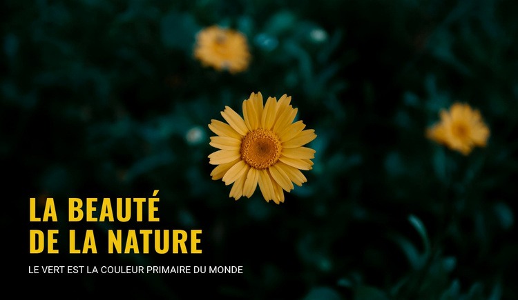  Se connecter avec la nature pendant que vous voyagez Créateur de site Web HTML