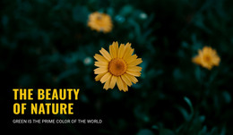 Connecting With Nature As You Trave Wysiwyg Editor Html