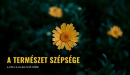 Utazás Közben Kapcsolódni A Természethez - Ingyenes Sablonok