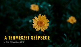 Terméktervező A(Z) Utazás Közben Kapcsolódni A Természethez Számára