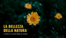 Modello Esclusivo Di Una Pagina Per Connettiti Con La Natura Mentre Viaggi