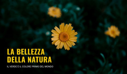 Progettista Di Prodotto Per Connettiti Con La Natura Mentre Viaggi