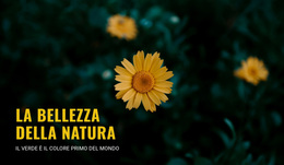 Connettiti Con La Natura Mentre Viaggi #Wordpress-Themes-It-Seo-One-Item-Suffix