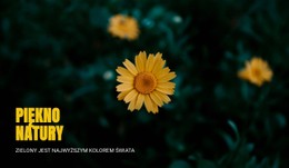 Łączenie Się Z Naturą Podczas Podróży Szablon Pojedynczej Strony