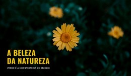 Conectando-Se Com A Natureza Enquanto Você Viaja - Modelos Gratuitos