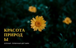 Связь С Природой Во Время Путешествия – Бесплатные Шаблоны