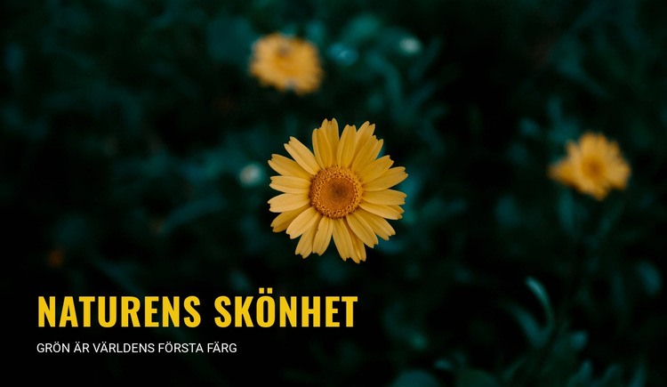  Ansluta till naturen när du vandrar WordPress -tema