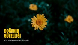 Doğa Ile Ilerlerken Bağlantı Kurmak - Ücretsiz Şablonlar